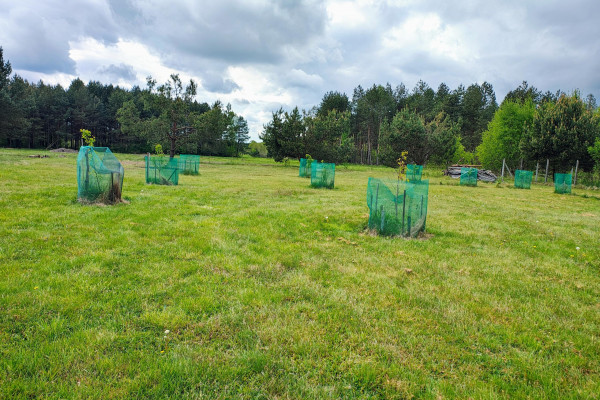 kielecki, Mniów, Baran, Nowoczesny dom na sprzedaż - Baran okolice Mniowa