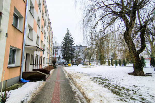 Kielce, Ksm, Sp&oacute;łdzielcza, 2 pokoje / KSM &ndash; ul. Sp&oacute;łdzielcza  37,1 m&sup2;  / Piwnica