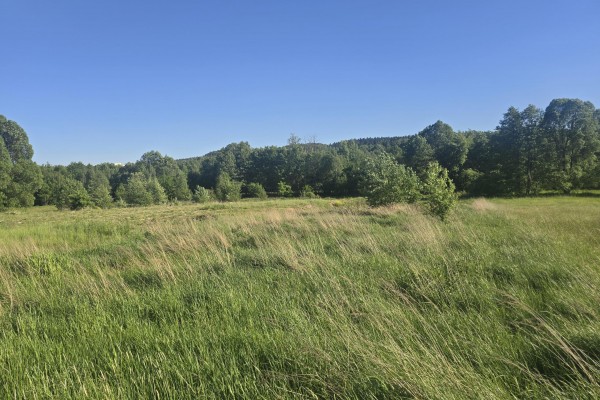 Kajetan&oacute;w, Zagnańsk, Działka na sprzedaż