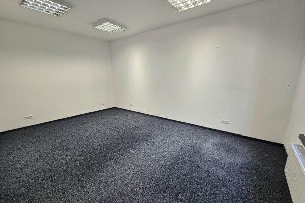Kielce, Centrum, Sienkiewicza, Lokal w samym sercu Kielc &ndash; ul. Sienkiewicza | 55,5 m&sup2; |