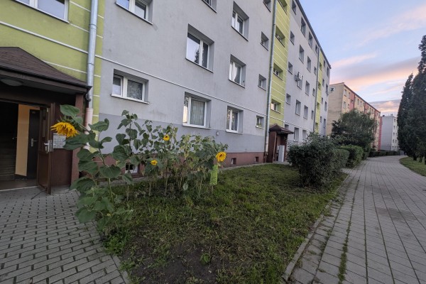 Kielce, Czarn&oacute;w, Jagiellońska, 2 pokoje do zamieszkania Kielce Jagiellońska 1 piętro