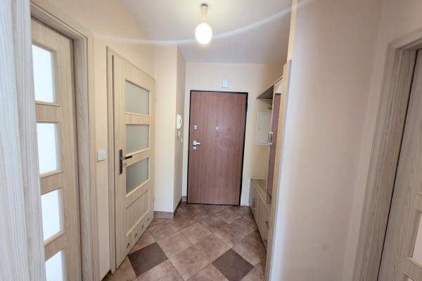 Kielce, Centrum, Chęcińska, 3 pokoje na wynajem Kielce Chęcińska 2015 rok loggia